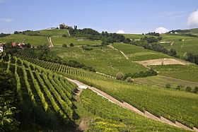 Langhe-Roero e Monferrato patrimonio dell’umanità