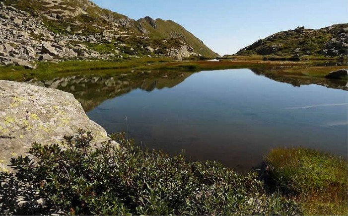 La “banca dell’acqua” per il riso di Baraggia