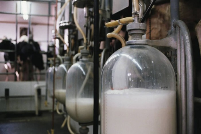 Ferrero: operazione qualità per il latte in Piemonte