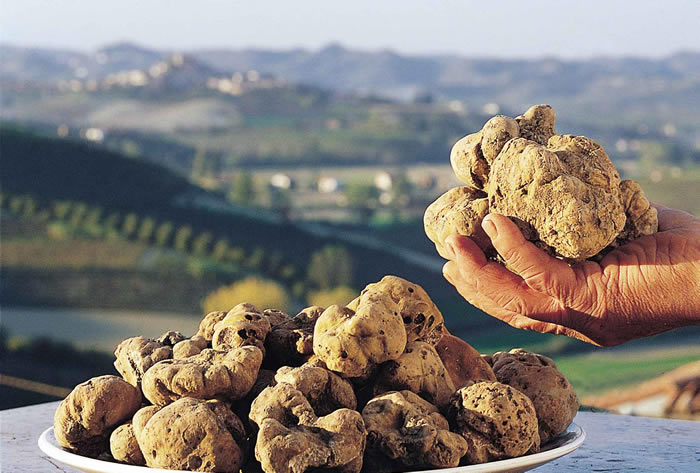 Tempo di tartufi: cena e incontro con il trifulau