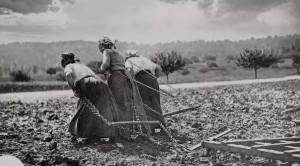 Contadine al lavoro nei campi