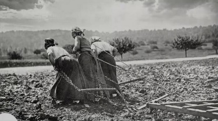 La trincea delle donne che nella Grande Guerra salvarono l’agricoltura