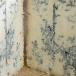 gorgonzola