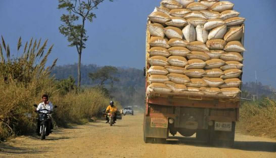 Cambogia e Kuwait tendono una mano al riso italiano