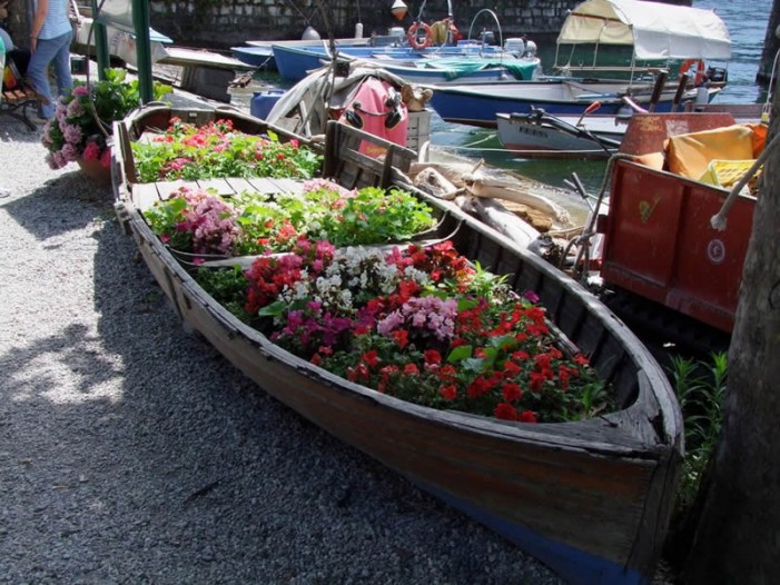 Il convegno degli esperti centri di giardinaggio