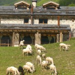 agriturismo2