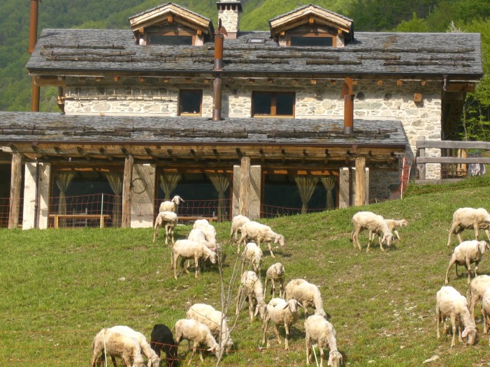 Agriturismi, il Piemonte si dà nuove regole