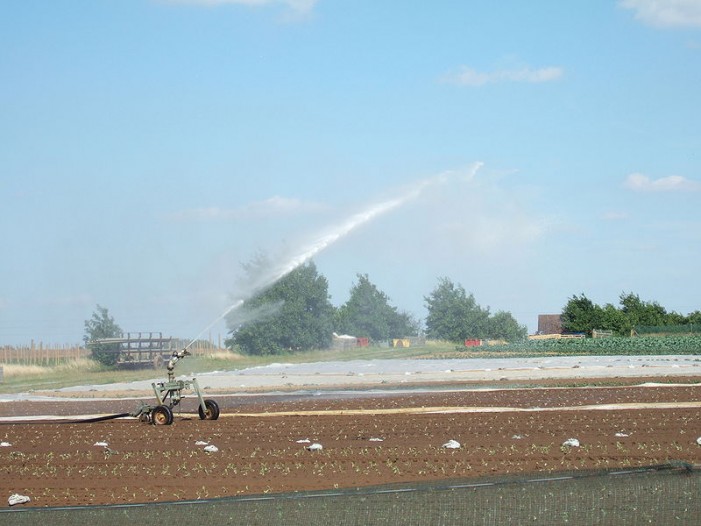 Irriframe, l’occhio antisprechi dell’acqua nei campi