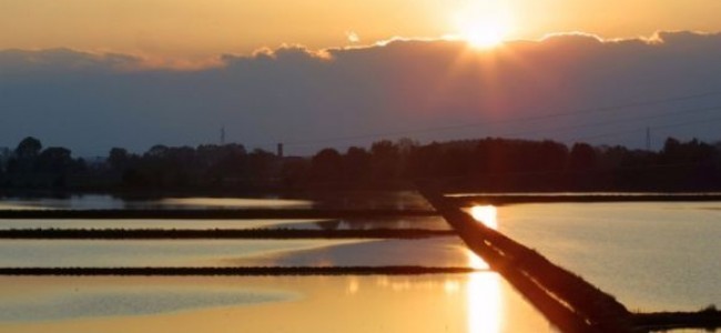 Avvisi ai naviganti: Piano Verde e denunce di consegna latte