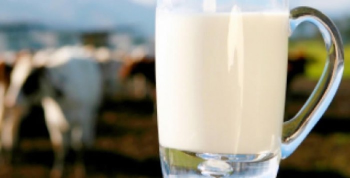 Guerra del latte: in Piemonte si profila uno sciopero