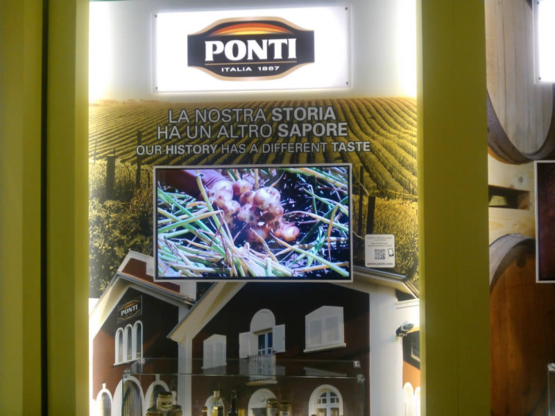 ponti