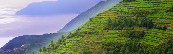 Campioni dell’agricoltura green in Europa