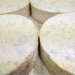 gorgonzola