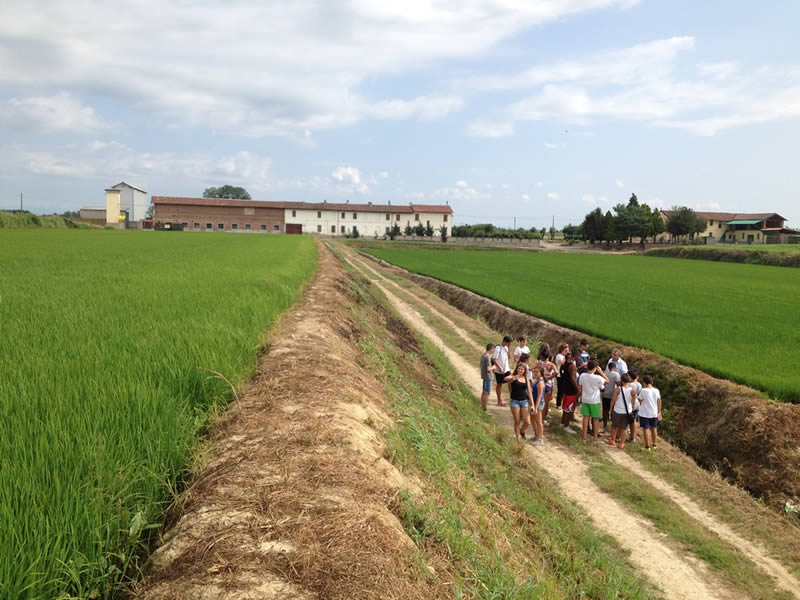 GREST ‘LEZIONE’ IN RISAIA A VESPOLATE