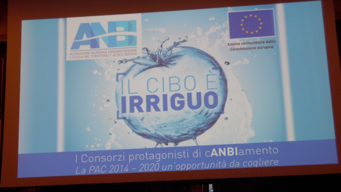 Acqua al centro, una partita da vincere (fotogallery)