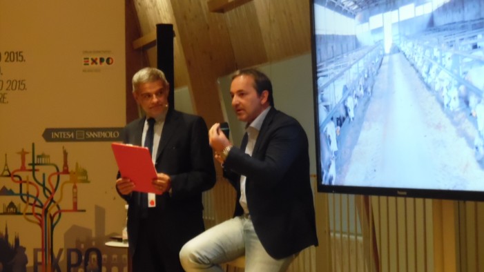 Piacere fassone, l’antico zebù parla Piemontese e sbarca a Expo (fotogallery)