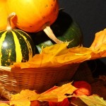zucche in cestino