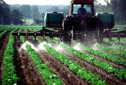 Alimenti e pesticidi ai Giovedì dell’Utc