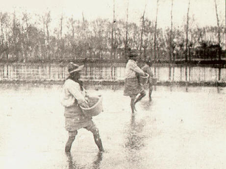 In quelle foto scorre la storia della risicoltura