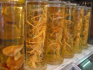 Ginseng_in_Korea