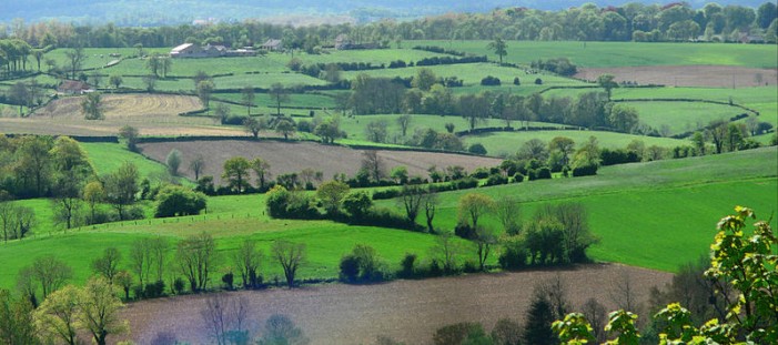 L’agricoltura snobba i contratti di rete