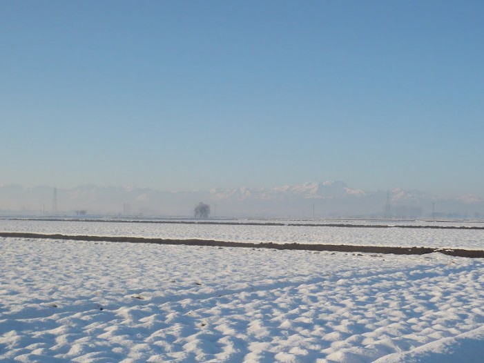 C’era una volta la risaia d’inverno (aspettando la neve)