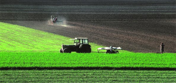 Il Ministero ribattezzato: si chiamerà Miagro