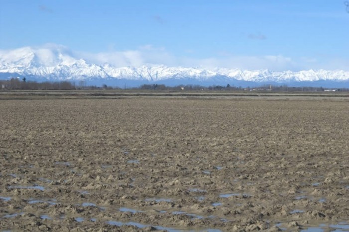 Il paesaggio rurale valore da riscoprire