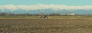 risaiapatrimonio