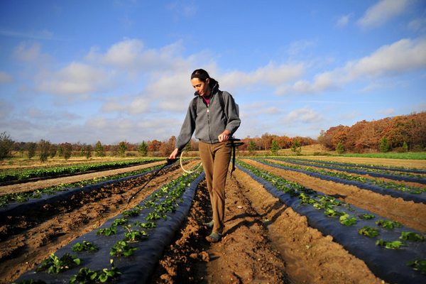 Per i giovani che hanno idee in agricoltura c’è l’incubatore