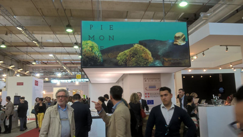 vinitaly5