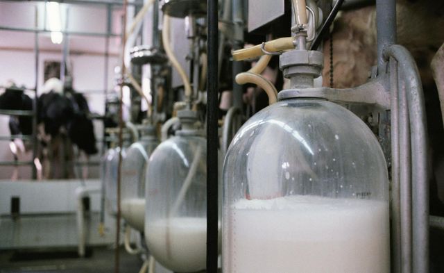 Nasce il gigante bianco: Inalpi e Piemonte latte acquisiscono Abit