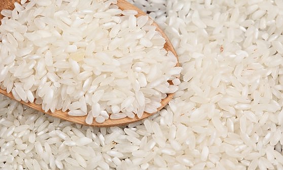 In Piemonte tolleranza zero contro i furbetti del riso biologico