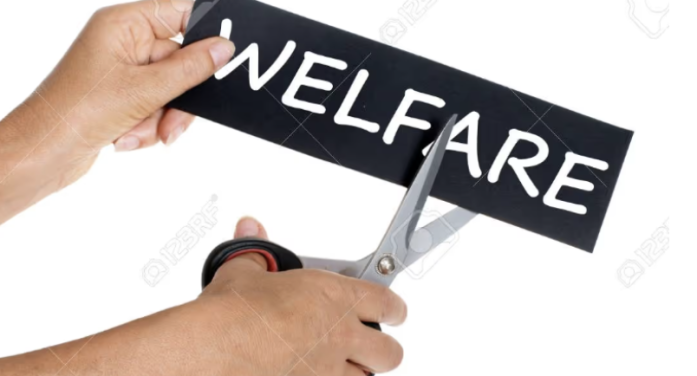 PILLOLE DI WELFARE: Obiettivi di Sviluppo sostenibile SDG (Sustainable Development Goals)