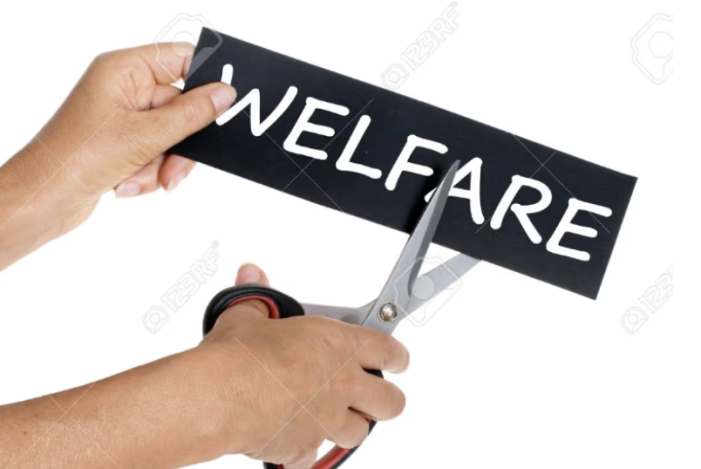 PILLOLE DI WELFARE: definizione