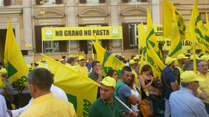 Un chilo di grano 16 centesimi, a rischio 300 mila aziende