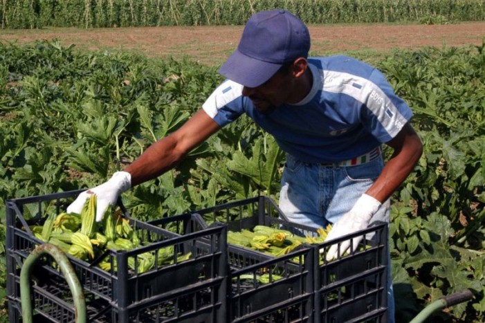 Piemonte, sostegni alle aziende per ospitare i lavoratori stagionali