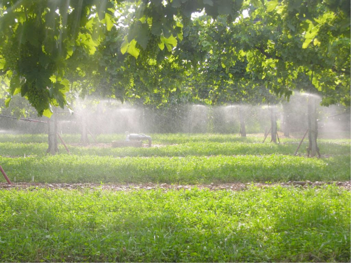 Ottocento milioni per dissetare agricoltura e Made in Italy