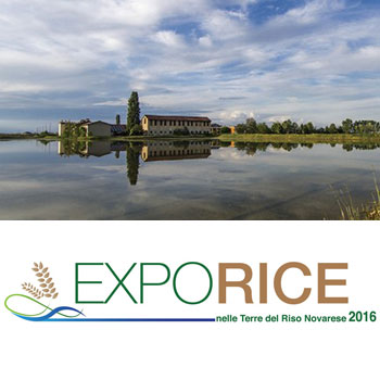 Exporice, viaggio nelle terre del riso