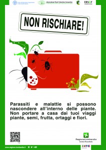 Stampa