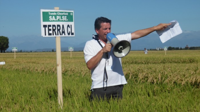 Gli occhi del mondo sulla patria del riso Venere (fotogallery)