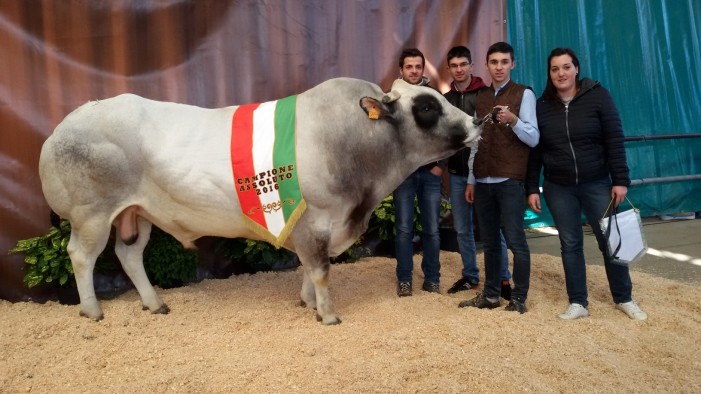 Sfila la Piemontese, al profumo di talco