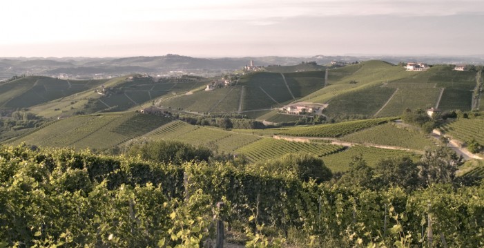 Barbaresco Asili Riserva primo italiano nella Top 100 di Wine Spectator