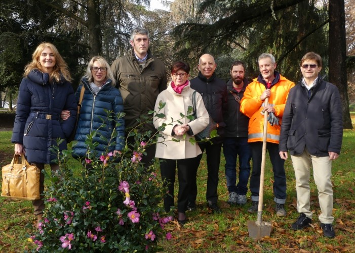 Spunta una camelia in città, voglia di dire basta alla crisi