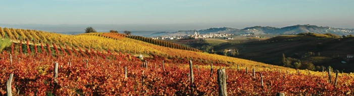 Il Piemonte nel mondo con i suoi vini