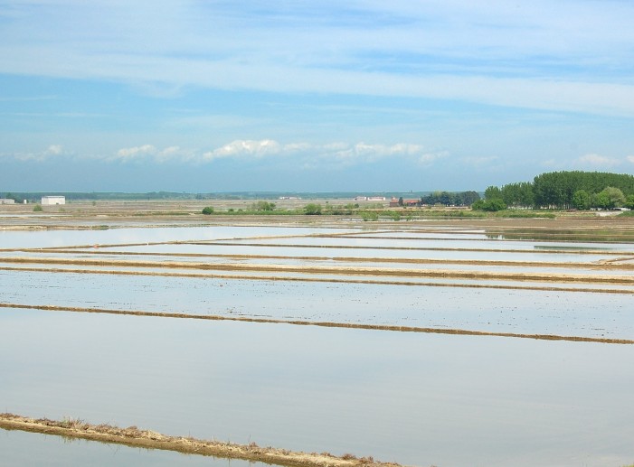 Tornano le “camere”, acqua uguale agricoltura fiorente