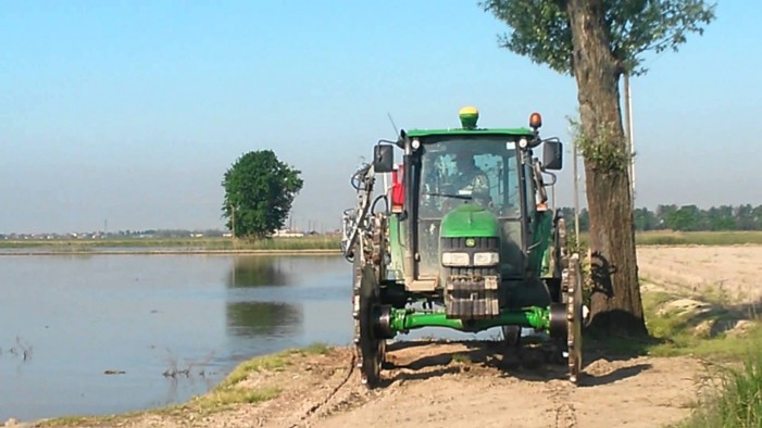 Decreto agrofarmaci, utilizzo in risaia per emergenza fitosanitaria