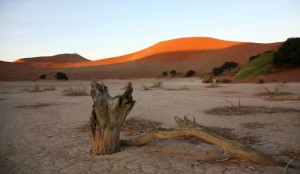 desertificazione