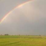 arcobaleno