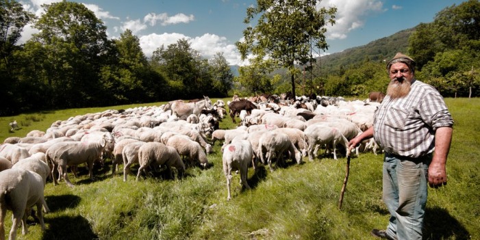 In quota non c’è più fieno, è già tempo di migrare